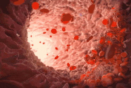 mansion88·明升(中国游)官方网站