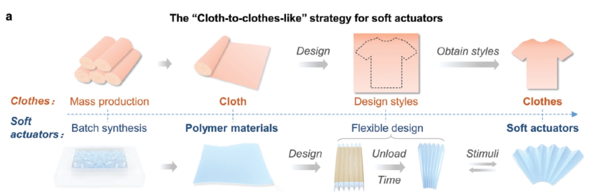 mansion88·明升(中国游)官方网站